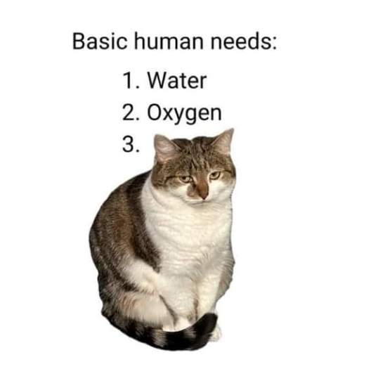 Basic human needs: 1. Water 2. Oxygen 3.