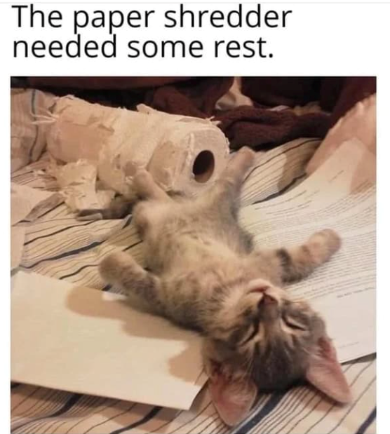 The paper shredder needed some rest.