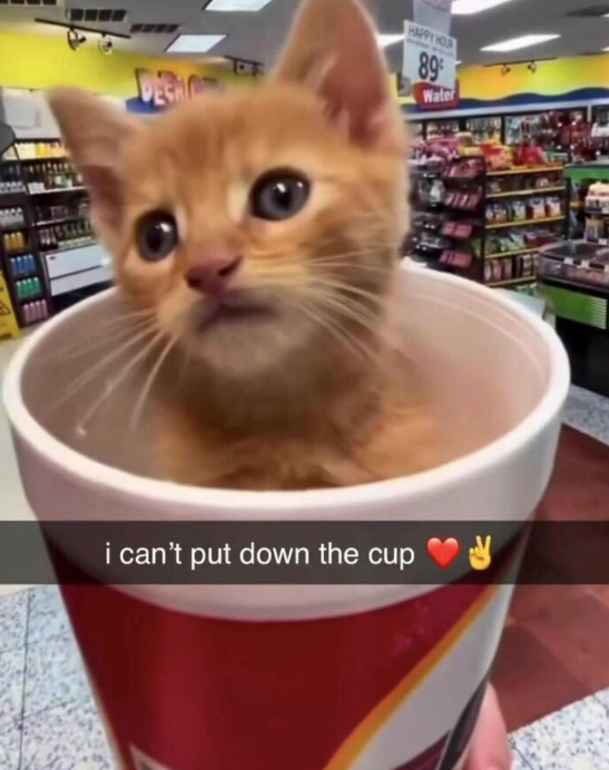 DESMO HAPPY HOUR 89 Water i can't put down the cup