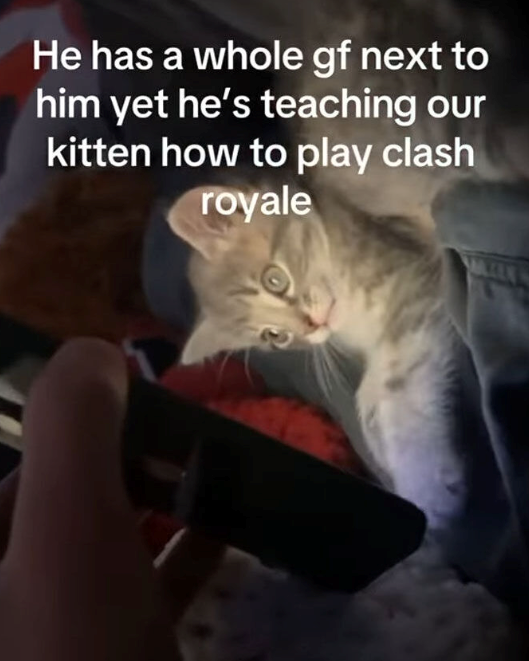 He has a whole gf next to him yet he's teaching our kitten how to play clash royale MILLEN W