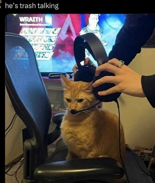 he's trash talking WRAITH