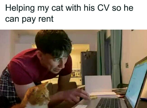 Helping my cat with his CV so he can pay rent