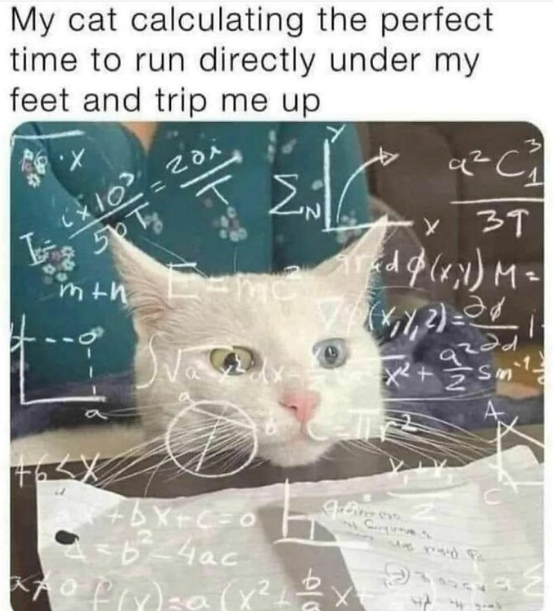 My cat calculating the perfect time to run directly under my feet and trip me up 50 To m+h Va 3 x39 rad@(x1) M= ad +bx+c=0 Ab²-4ac axof(x) = a (x²+ + Sin Cu we may Pa