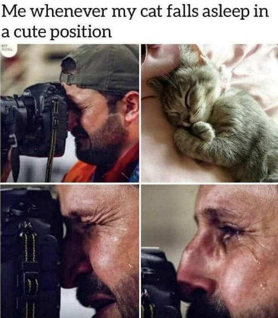 Me whenever my cat falls asleep in a cute position