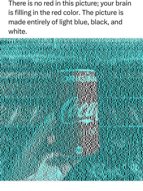There is no red in this picture; your brain is filling in the red color. The picture is made entirely of light blue, black, and white.