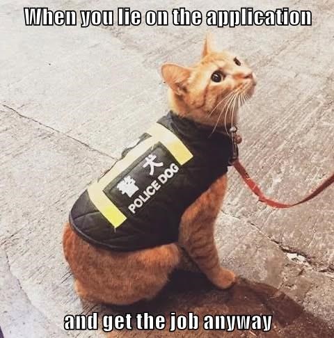 Cheezburger Image 10619054592