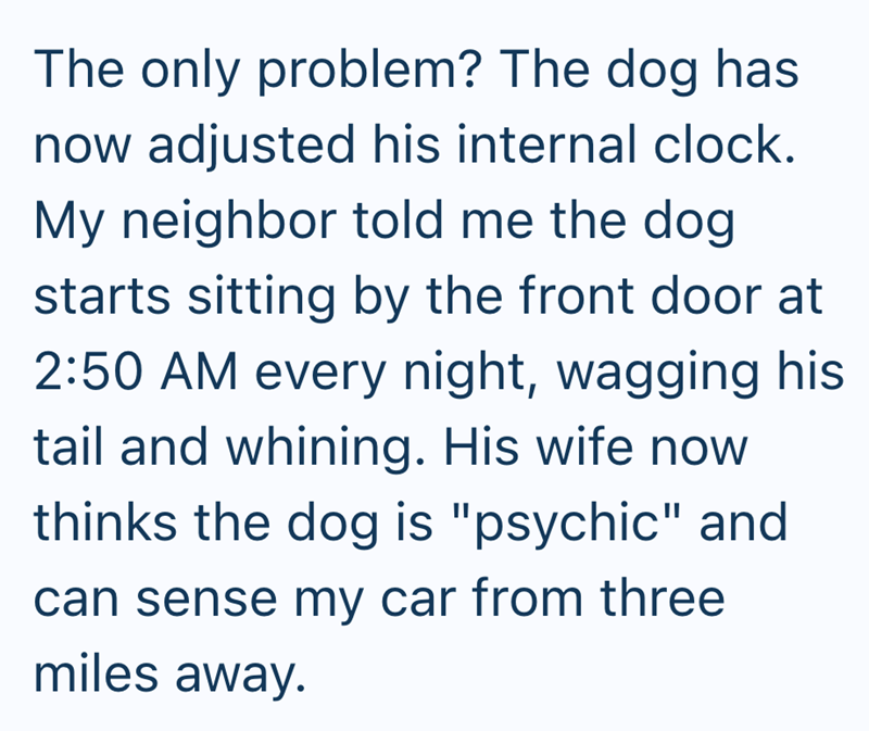The only problem? The dog has now adjusted his internal clock. My neighbor told me the dog starts sitting by the front door at 2:50 AM every night, wagging his tail and whining. His wife now thinks the dog is "psychic" and can sense my car from three miles away.