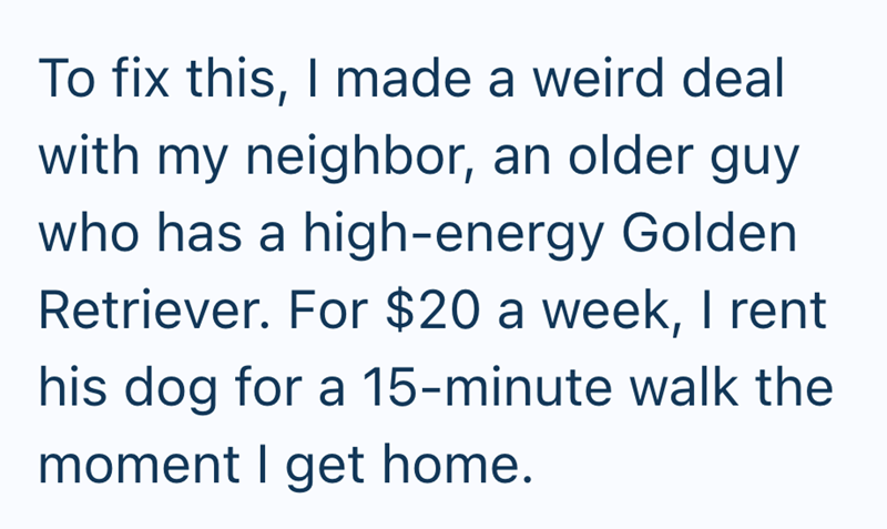 To fix this, I made a weird deal with my neighbor, an older guy who has a high-energy Golden Retriever. For $20 a week, I rent his dog for a 15-minute walk the moment I get home.