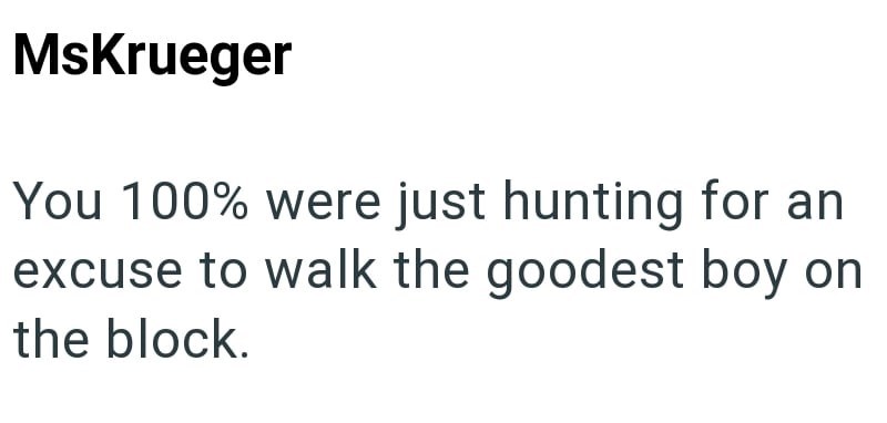 MsKrueger You 100% were just hunting for an excuse to walk the goodest boy on the block.