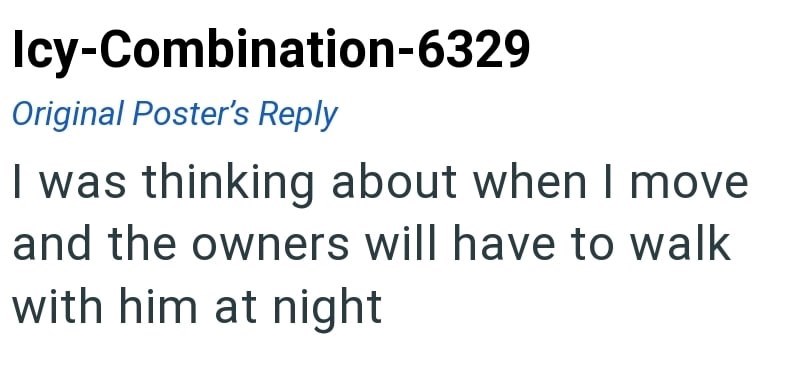 Icy-Combination-6329 Original Poster's Reply I was thinking about when I move and the owners will have to walk with him at night