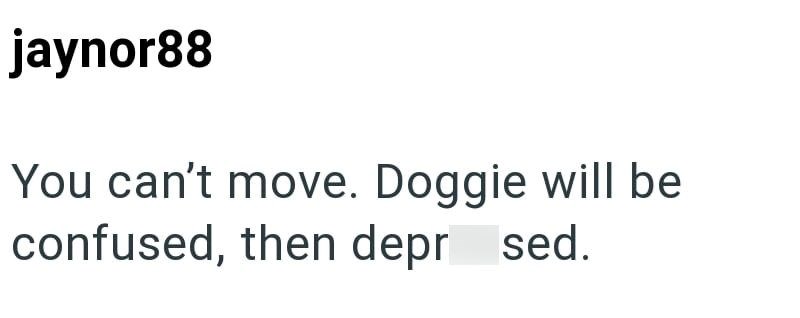 jaynor88 You can't move. Doggie will be confused, then depr sed.
