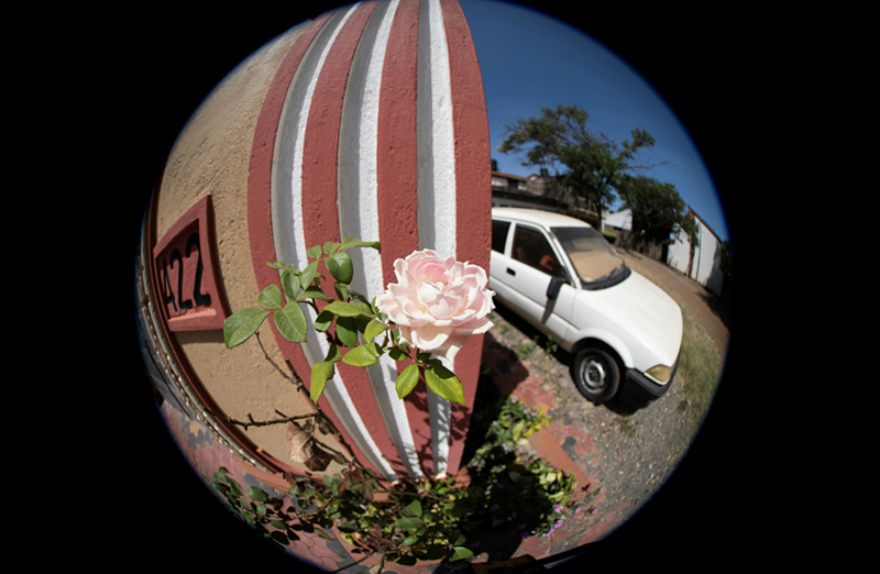 A white car parked in a driveway