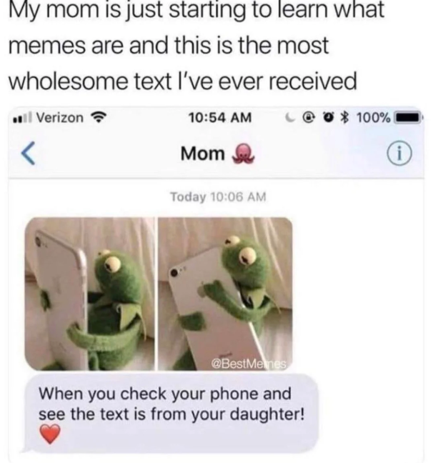 My mom is just starting to learn what memes are and this is the most wholesome text I've ever received Verizon < 10:54 AM Mom Today 10:06 AM @BestMemes When you check your phone and see the text is from your daughter! 100% i