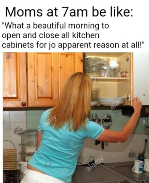 Moms at 7am be like: "What a beautiful morning to open and close all kitchen cabinets for jo apparent reason at all!" alamy alamy alamy E a