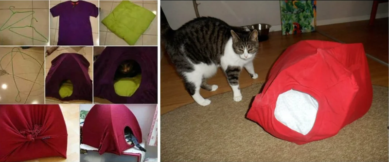 Cheezburger Image 10619130624