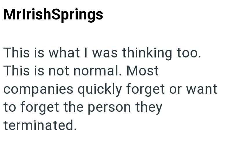 MrIrishSprings This is what I was thinking too. This is not normal. Most companies quickly forget or want to forget the person they terminated.