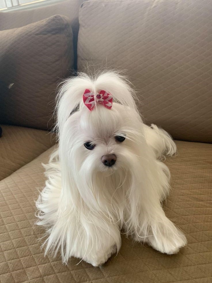 Cheezburger Image 10619159040