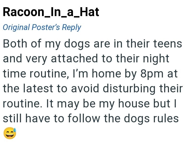 Racoon_In_a_Hat Original Poster's Reply Both of my dogs are in their teens and very attached to their night time routine, I'm home by 8pm at the latest to avoid disturbing their routine. It may be my house but I still have to follow the dogs rules