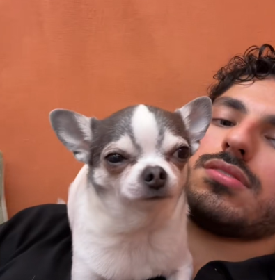 Cheezburger Image 10619168512