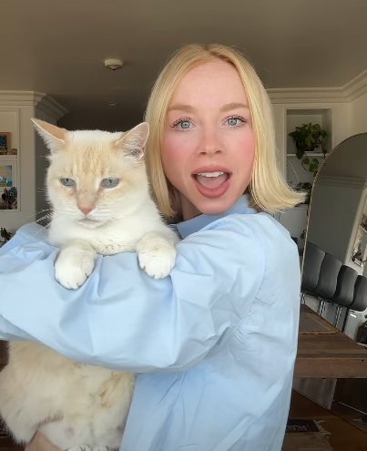 Cheezburger Image 10619169024