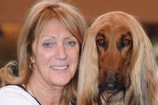 Cheezburger Image 10619169536