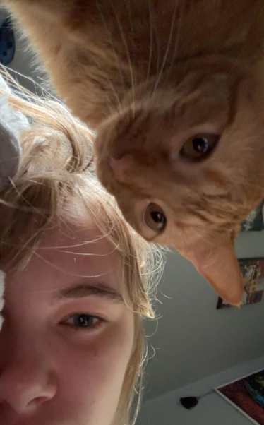 Cheezburger Image 10619172608