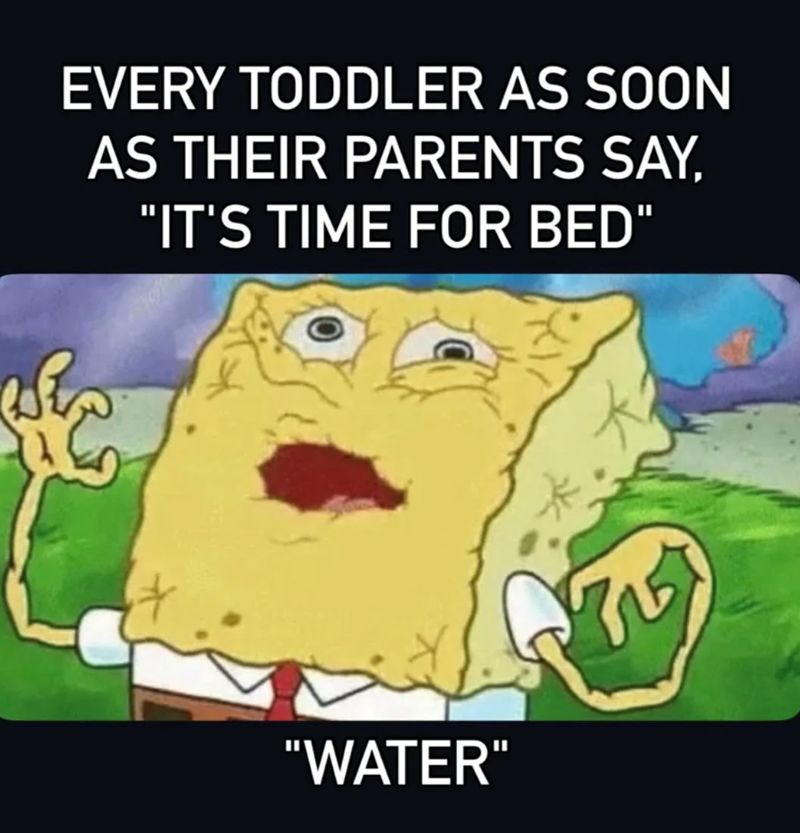 EVERY TODDLER AS SOON AS THEIR PARENTS SAY, "IT'S TIME FOR BED" "WATER"