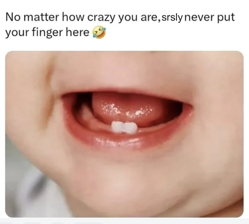 No matter how crazy you are, srsly never put your finger here