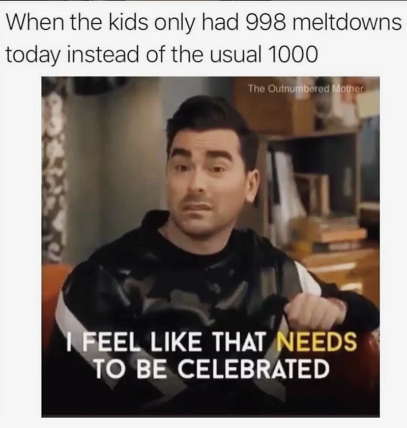 When the kids only had 998 meltdowns today instead of the usual 1000 The Outnumbered Mother I FEEL LIKE THAT NEEDS TO BE CELEBRATED