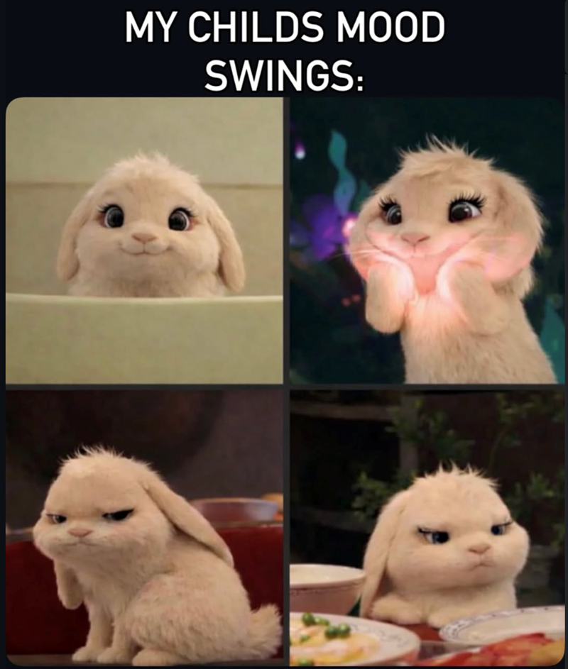 MY CHILDS MOOD SWINGS: