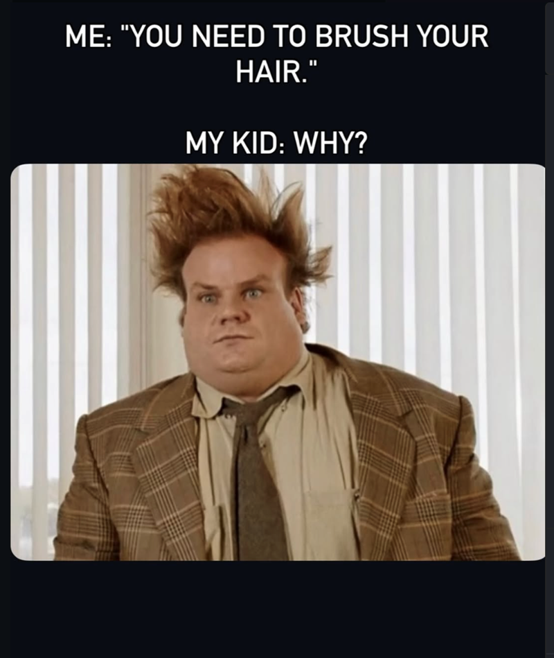 ME: "YOU NEED TO BRUSH YOUR HAIR." MY KID: WHY?