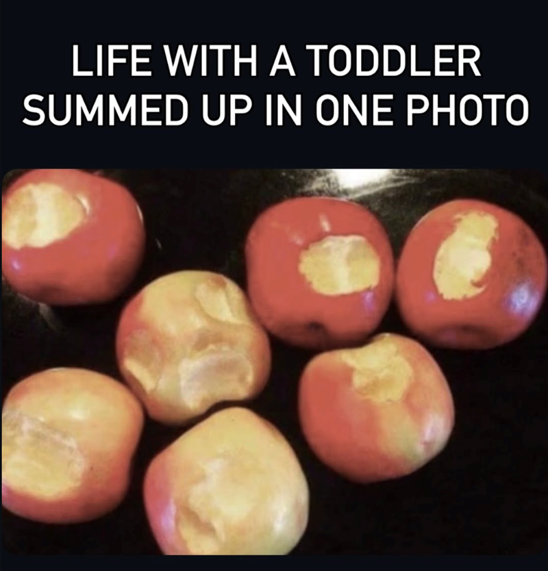 LIFE WITH A TODDLER SUMMED UP IN ONE PHOTO