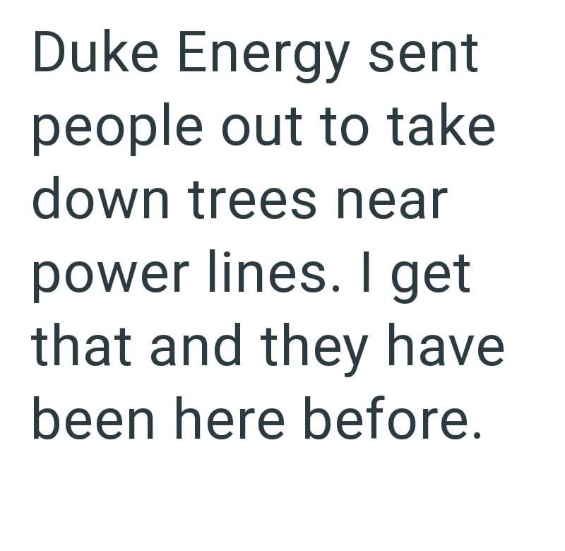 Duke Energy sent people out to take down trees near power lines. I get that and they have been here before.