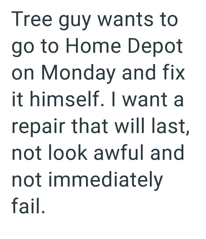 Tree guy wants to go to Home Depot on Monday and fix it himself. I want a repair that will last, not look awful and not immediately fail.