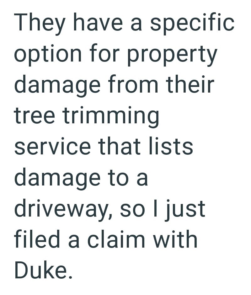 They have a specific option for property damage from their tree trimming service that lists damage to a driveway, so I just filed a claim with Duke.