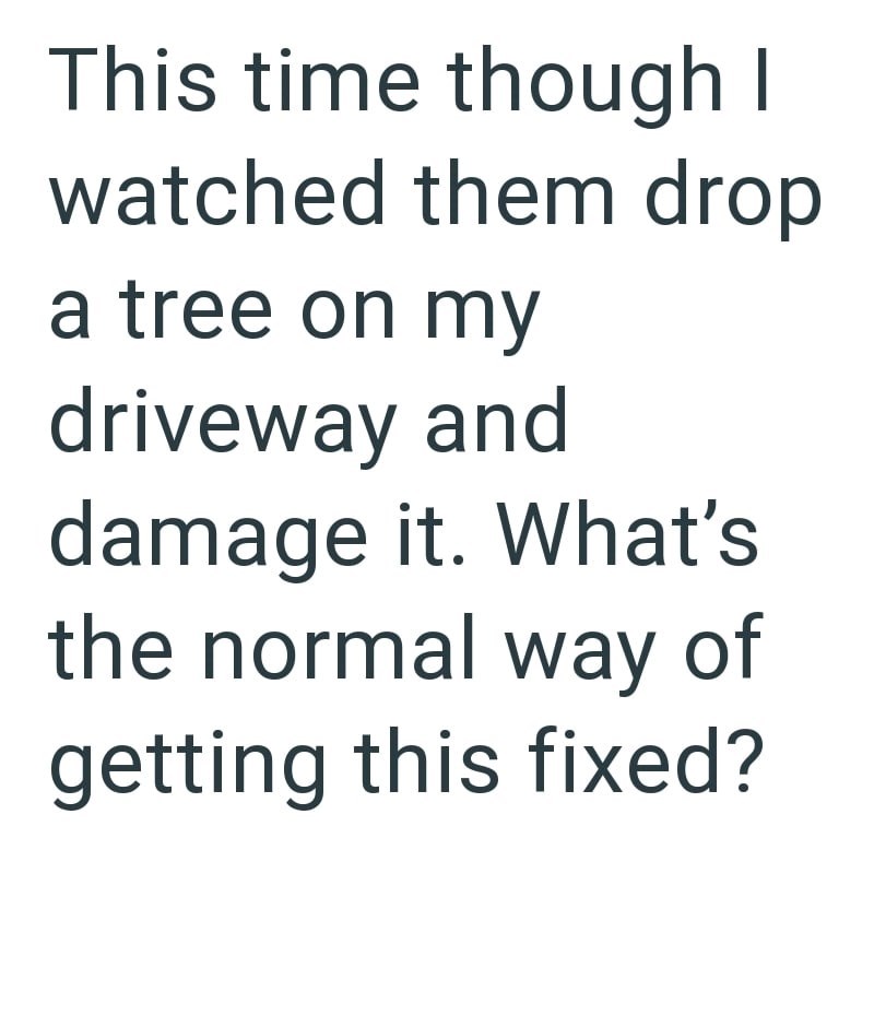 This time though I watched them drop a tree on my driveway and damage it. What's the normal way of getting this fixed?