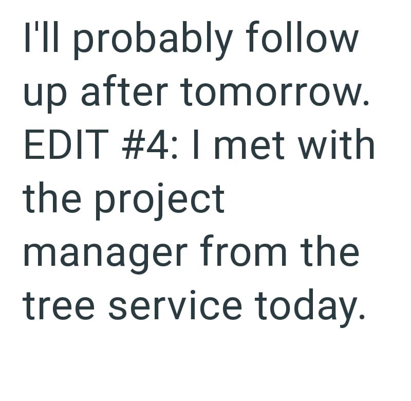 I'll probably follow up after tomorrow. EDIT #4: I met with the project manager from the tree service today.