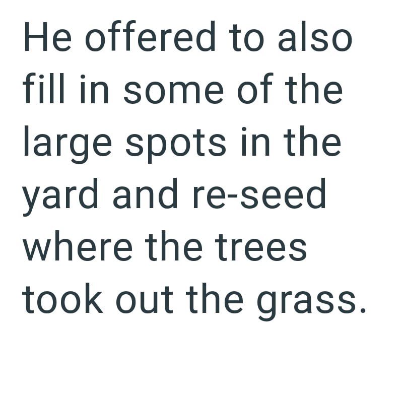 He offered to also fill in some of the large spots in the yard and re-seed where the trees took out the grass.