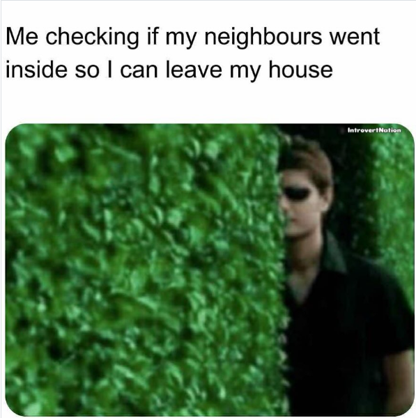 Me checking if my neighbours went inside so I can leave my house Introvert Nation