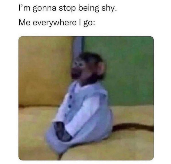 I'm gonna stop being shy. Me everywhere I go: