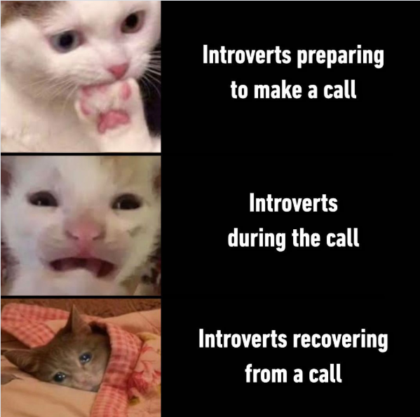 Introverts preparing to make a call Introverts during the call Introverts recovering from a call