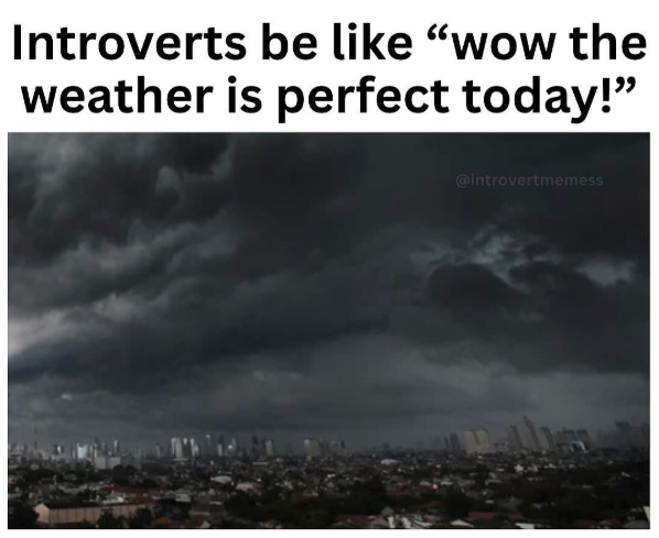 Introverts be like "wow the weather is perfect today!" @introvertmemess