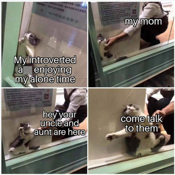 MORE-R + 94HIRE my mom My introverted a enjoying my alone time hey your uncle and aunt are here come talk to them