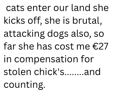 cats enter our land she kicks off, she is brutal, attacking dogs also, so far she has cost me €27 in compensation for stolen chick's........and counting.