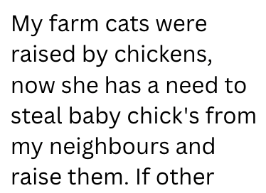 My farm cats were raised by chickens, now she has a need to steal baby chick's from my neighbours and raise them. If other