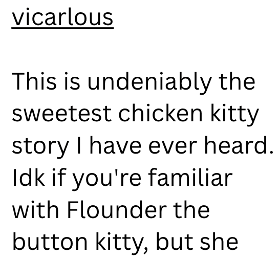 vicarlous This is undeniably the sweetest chicken kitty story I have ever heard. Idk if you're familiar with Flounder the button kitty, but she