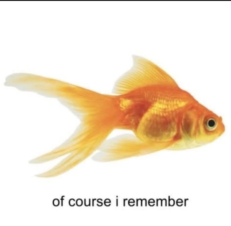 of course i remember