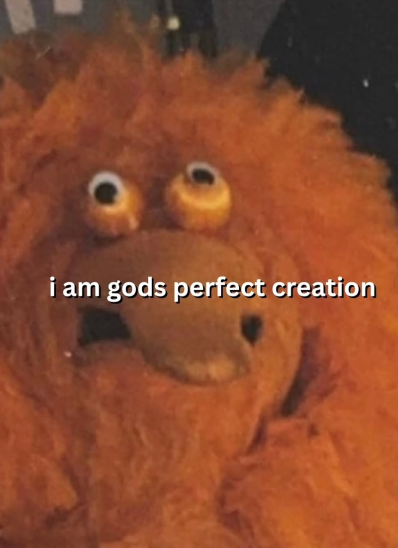 i am gods perfect creation