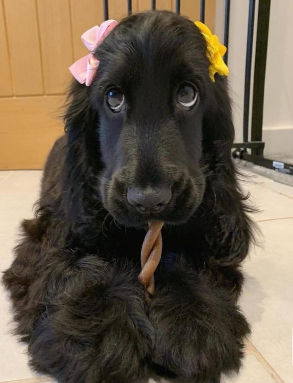 Cheezburger Image 10619225600