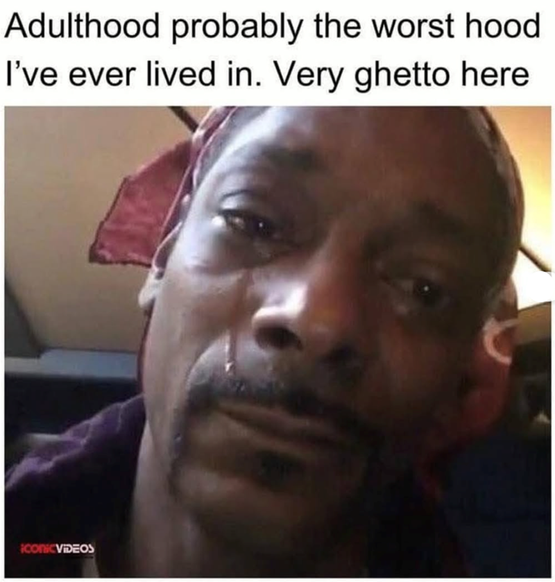 Adulthood probably the worst hood I've ever lived in. Very ghetto here ICONICVIDEOS